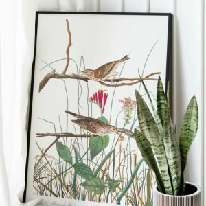 Vintage Wall Art | Vintage Bird Art Prints, Bird Poster, 16×22 inches Vintage Wall Art Vintage Wall Art