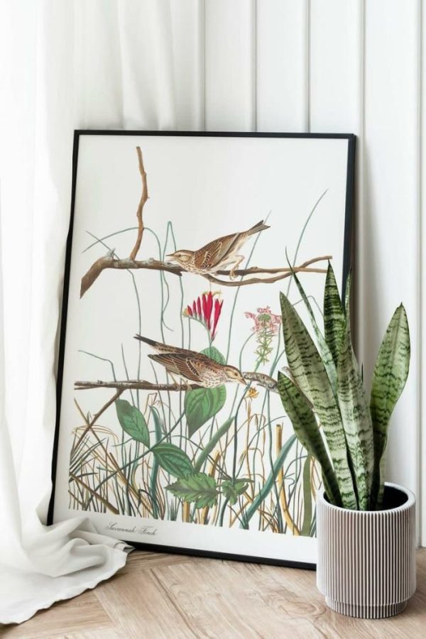 Vintage Wall Art | Vintage Bird Art Prints, Bird Poster, 16×22 inches Vintage Wall Art Vintage Wall Art