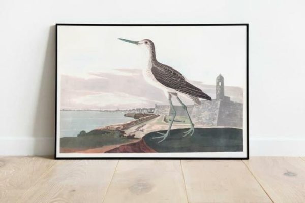 Vintage Wall Art | Vintage Bird Art Prints, Bird Poster, 16×22 inches Vintage Wall Art Vintage Wall Art