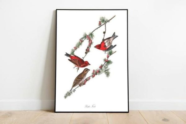 Vintage Wall Art | Vintage Bird Art Prints, Bird Poster, 16×22 inches Vintage Wall Art Vintage Wall Art