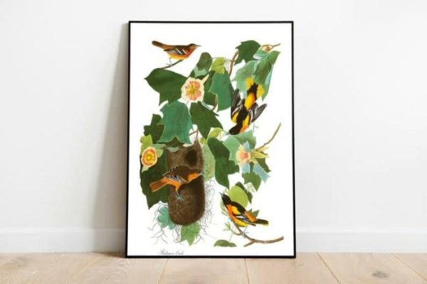 Vintage Wall Art | Vintage Bird Art Prints, Bird Poster, 16×22 inches Vintage Wall Art Vintage Wall Art