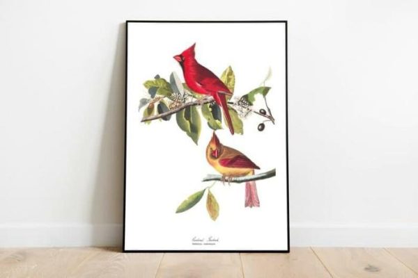 Vintage Wall Art | Vintage Bird Art Prints, Bird Poster, 16×22 inches Vintage Wall Art Vintage Wall Art