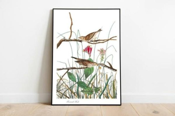 Vintage Wall Art | Vintage Bird Art Prints, Bird Poster, 16×22 inches Vintage Wall Art Vintage Wall Art