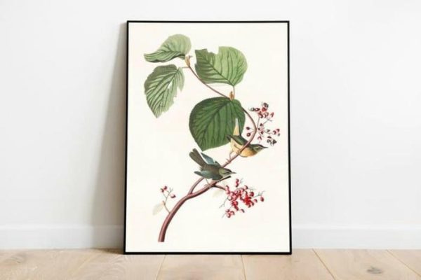 Vintage Wall Art | Vintage Bird Art Prints, Bird Poster, 16×22 inches Vintage Wall Art Vintage Wall Art