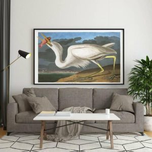 Vintage Wall Art | Vintage Bird Art Prints, Bird Poster, 20×28 inches Vintage Wall Art Vintage Wall Art