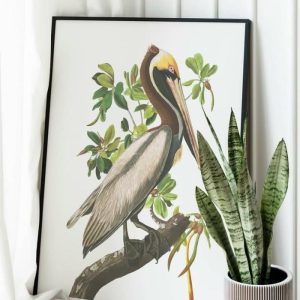 Vintage Wall Art | Vintage Bird Art Prints, Bird Poster, 20×28 inches Vintage Wall Art Vintage Wall Art