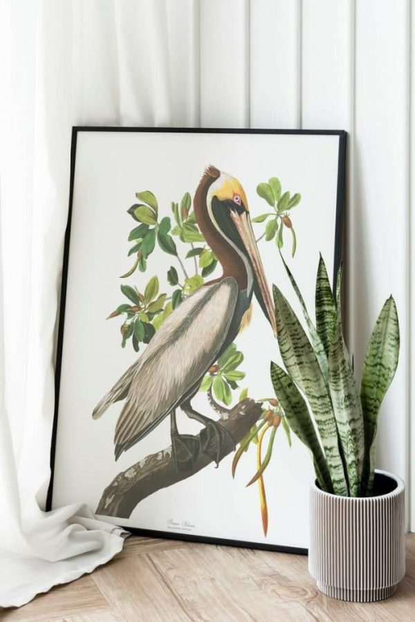 Vintage Wall Art | Vintage Bird Art Prints, Bird Poster, 20×28 inches Vintage Wall Art Vintage Wall Art