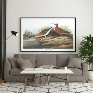 Vintage Wall Art | Vintage Bird Art Prints, Bird Poster, 20×28 inches Vintage Wall Art Vintage Wall Art