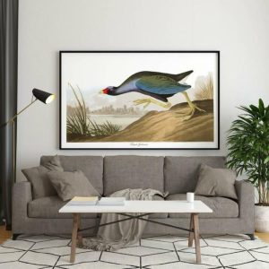 Vintage Wall Art | Vintage Bird Art Prints, Bird Poster, 20×28 inches Vintage Wall Art Vintage Wall Art