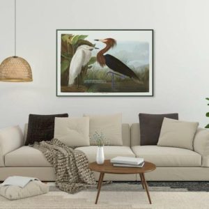 Vintage Wall Art | Vintage Bird Art Prints, Bird Poster, 20×28 inches Vintage Wall Art Vintage Wall Art