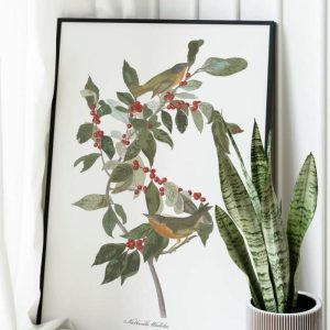 Vintage Wall Art | Vintage Bird Art Prints, Bird Poster, 20×28 inches Vintage Wall Art Vintage Wall Art