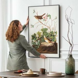 Vintage Wall Art | Vintage Bird Art Prints, Bird Poster, 20×28 inches Vintage Wall Art Vintage Wall Art