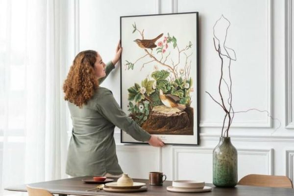 Vintage Wall Art | Vintage Bird Art Prints, Bird Poster, 20×28 inches Vintage Wall Art Vintage Wall Art