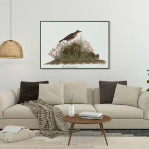 Vintage Wall Art | Vintage Bird Art Prints, Bird Poster, 20×28 inches Vintage Wall Art Vintage Wall Art