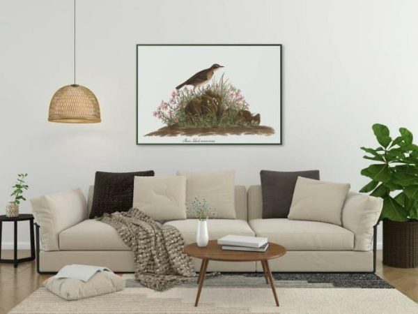 Vintage Wall Art | Vintage Bird Art Prints, Bird Poster, 20×28 inches Vintage Wall Art Vintage Wall Art