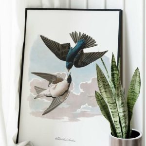 Vintage Wall Art | Vintage Bird Art Prints, Bird Poster, 20×28 inches Vintage Wall Art Vintage Wall Art