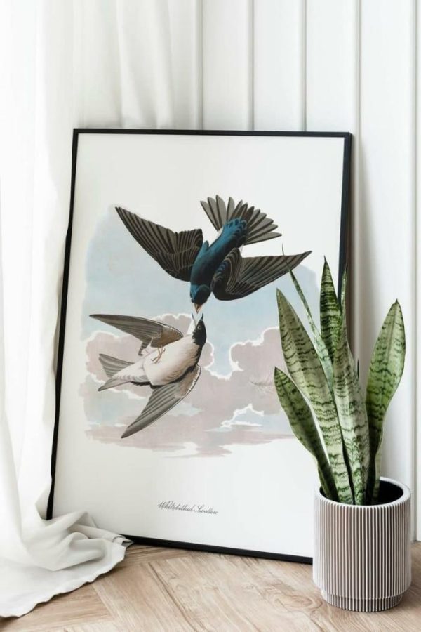 Vintage Wall Art | Vintage Bird Art Prints, Bird Poster, 20×28 inches Vintage Wall Art Vintage Wall Art