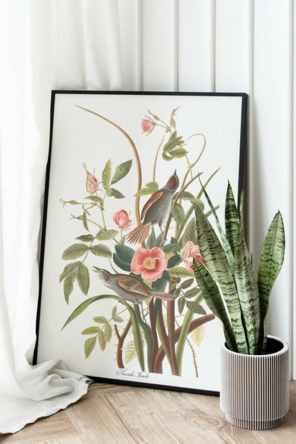 Vintage Wall Art | Vintage Bird Art Prints, Bird Poster, 20×28 inches Vintage Wall Art Vintage Wall Art