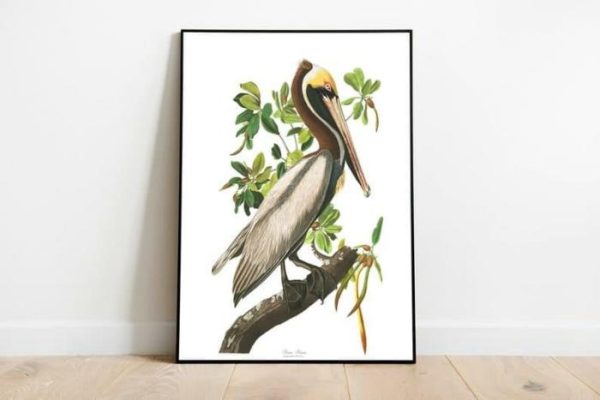 Vintage Wall Art | Vintage Bird Art Prints, Bird Poster, 20×28 inches Vintage Wall Art Vintage Wall Art