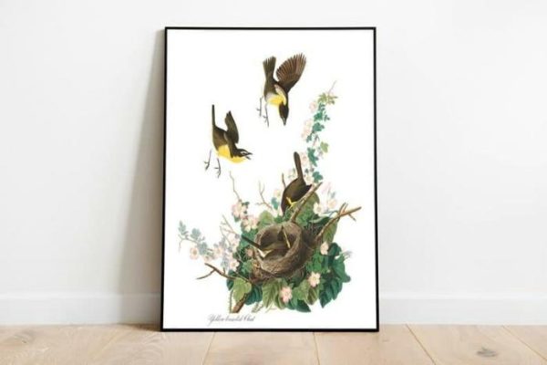 Vintage Wall Art | Vintage Bird Art Prints, Bird Poster, 20×28 inches Vintage Wall Art Vintage Wall Art