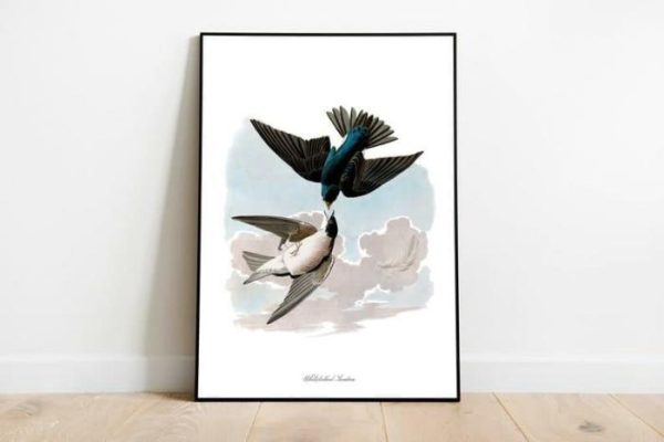 Vintage Wall Art | Vintage Bird Art Prints, Bird Poster, 20×28 inches Vintage Wall Art Vintage Wall Art