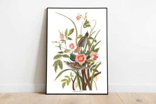 Vintage Wall Art | Vintage Bird Art Prints, Bird Poster, 20×28 inches Vintage Wall Art Vintage Wall Art