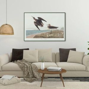 Vintage Wall Art | Vintage Bird Art Prints, Bird Poster, 24×32 inches Vintage Wall Art Vintage Wall Art