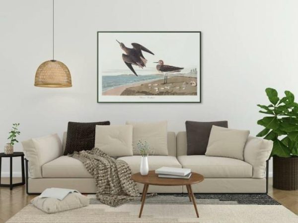 Vintage Wall Art | Vintage Bird Art Prints, Bird Poster, 24×32 inches Vintage Wall Art Vintage Wall Art