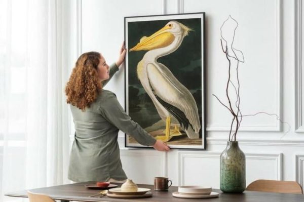 Vintage Wall Art | Vintage Bird Art Prints, Bird Poster, 24×32 inches Vintage Wall Art Vintage Wall Art