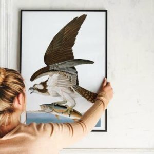 Vintage Wall Art | Vintage Bird Art Prints, Bird Poster, 24×32 inches Vintage Wall Art Vintage Wall Art