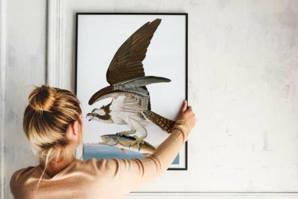 Vintage Wall Art | Vintage Bird Art Prints, Bird Poster, 24×32 inches Vintage Wall Art Vintage Wall Art