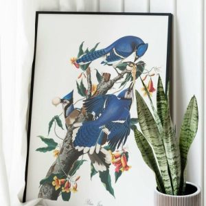 Vintage Wall Art | Vintage Bird Art Prints, Bird Poster, 24×32 inches Vintage Wall Art Vintage Wall Art