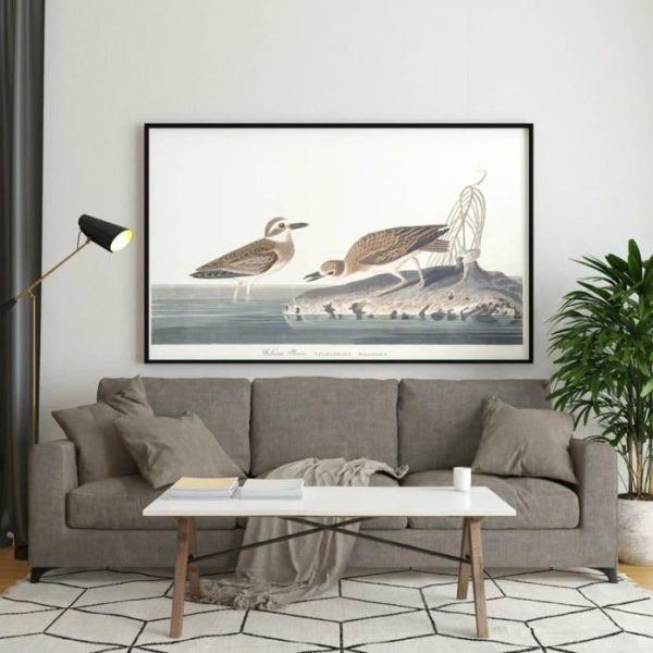 Vintage Wall Art | Vintage Bird Art Prints, Bird Poster, 24×32 inches Vintage Wall Art Vintage Wall Art