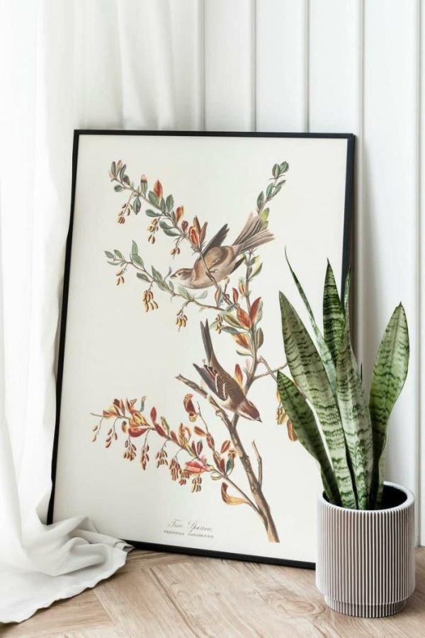 Vintage Wall Art | Vintage Bird Art Prints, Bird Poster, 24×32 inches Vintage Wall Art Vintage Wall Art