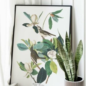 Vintage Wall Art | Vintage Bird Art Prints, Bird Poster, 24×32 inches Vintage Wall Art Vintage Wall Art