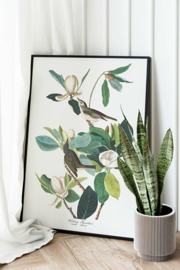 Vintage Wall Art | Vintage Bird Art Prints, Bird Poster, 24×32 inches Vintage Wall Art Vintage Wall Art