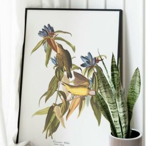 Vintage Wall Art | Vintage Bird Art Prints, Bird Poster, 24×32 inches Vintage Wall Art Vintage Wall Art