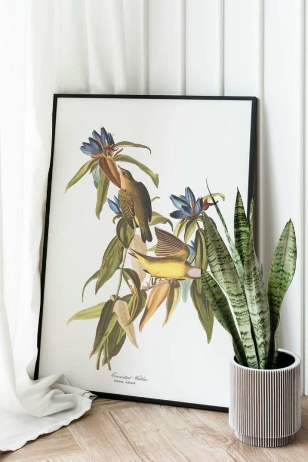 Vintage Wall Art | Vintage Bird Art Prints, Bird Poster, 24×32 inches Vintage Wall Art Vintage Wall Art