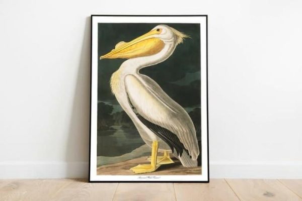 Vintage Wall Art | Vintage Bird Art Prints, Bird Poster, 24×32 inches Vintage Wall Art Vintage Wall Art