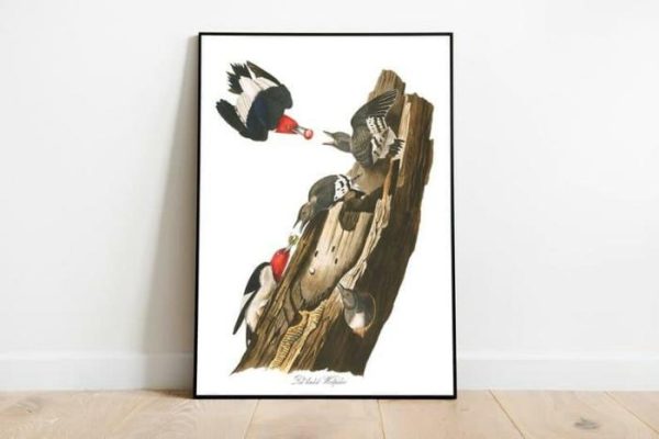 Vintage Wall Art | Vintage Bird Art Prints, Bird Poster, 24×32 inches Vintage Wall Art Vintage Wall Art