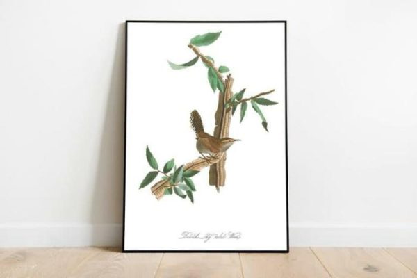 Vintage Wall Art | Vintage Bird Art Prints, Bird Poster, 24×32 inches Vintage Wall Art Vintage Wall Art