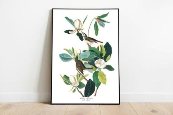 Vintage Wall Art | Vintage Bird Art Prints, Bird Poster, 24×32 inches Vintage Wall Art Vintage Wall Art