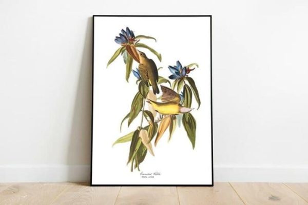 Vintage Wall Art | Vintage Bird Art Prints, Bird Poster, 24×32 inches Vintage Wall Art Vintage Wall Art