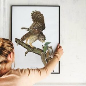 Vintage Wall Art | Vintage Bird Art Prints, Bird Poster, 28×40 inches Vintage Wall Art Vintage Wall Art