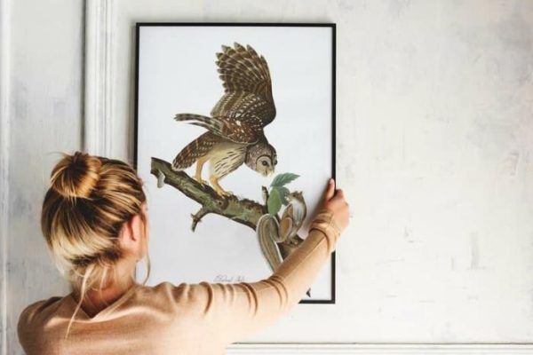 Vintage Wall Art | Vintage Bird Art Prints, Bird Poster, 28×40 inches Vintage Wall Art Vintage Wall Art