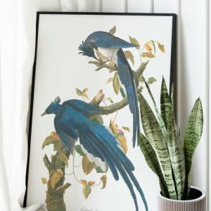 Vintage Wall Art | Vintage Bird Art Prints, Bird Poster, 28×40 inches Vintage Wall Art Vintage Wall Art