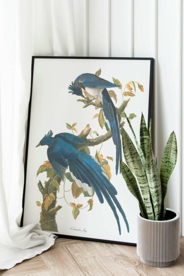 Vintage Wall Art | Vintage Bird Art Prints, Bird Poster, 28×40 inches Vintage Wall Art Vintage Wall Art