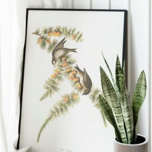 Vintage Wall Art | Vintage Bird Art Prints, Bird Poster, 28×40 inches Vintage Wall Art Vintage Wall Art