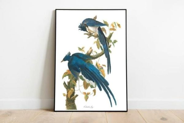 Vintage Wall Art | Vintage Bird Art Prints, Bird Poster, 28×40 inches Vintage Wall Art Vintage Wall Art