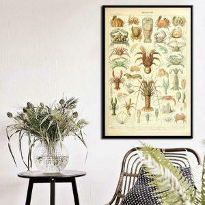 Wall Decor | Vintage Ocean Crabs Chart Wall Poster Print, 8.1" x 12" (21 x 30 cm) No Frame Wall Wall Decor